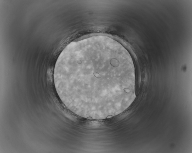 X0000115090286200912081242