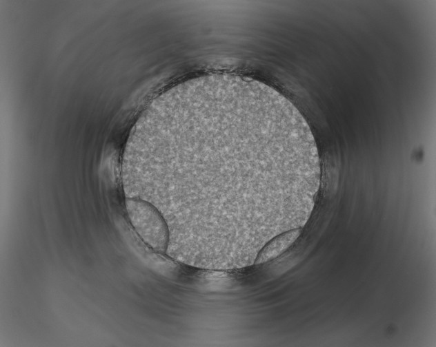 X0000115090287200912081242