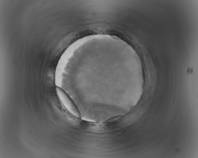 X0000115090288200912081242