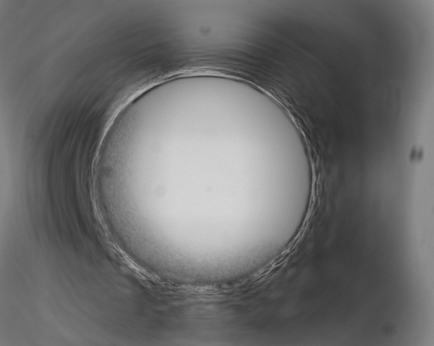 X0000115090289200912081241
