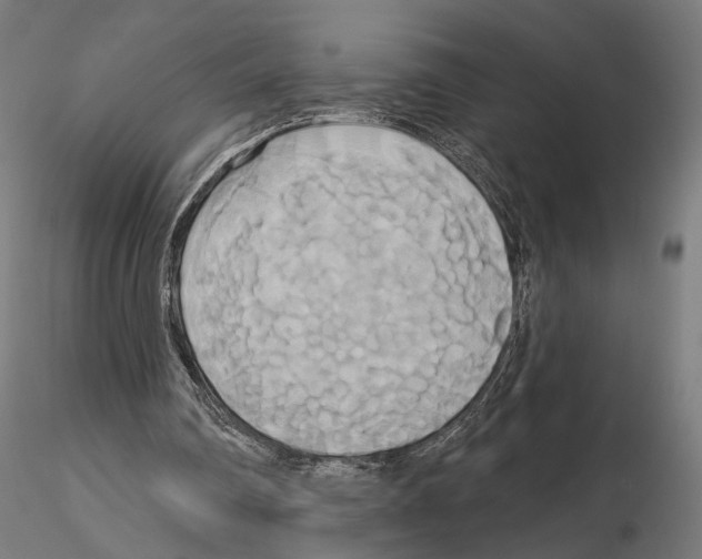 X0000115090290200912081241