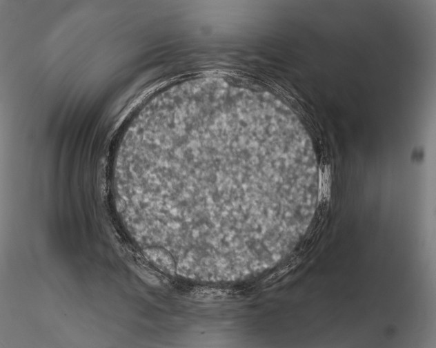 X0000115090291200912081241
