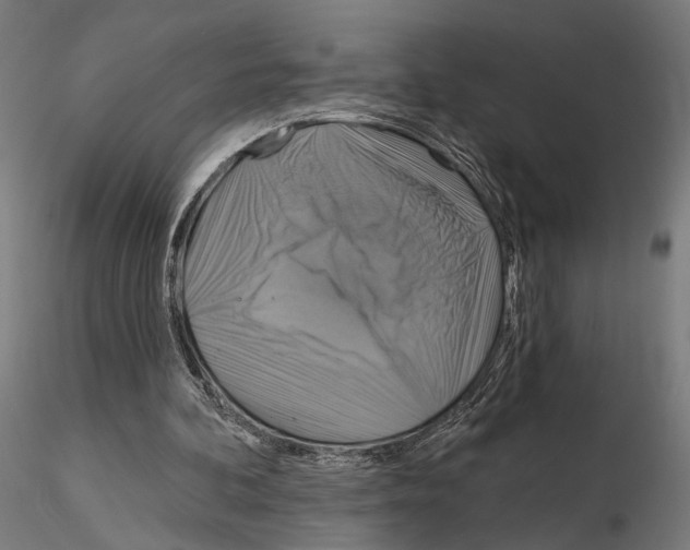 X0000115090292200912081241