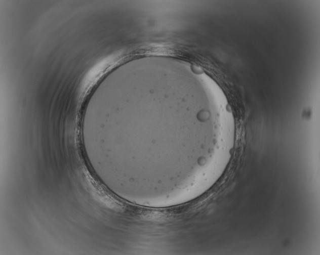 X0000115090293200912081241