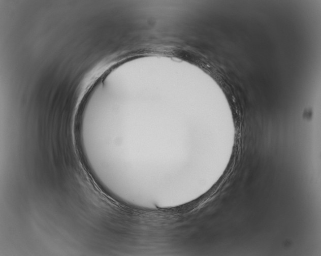 X0000115090294200912081241