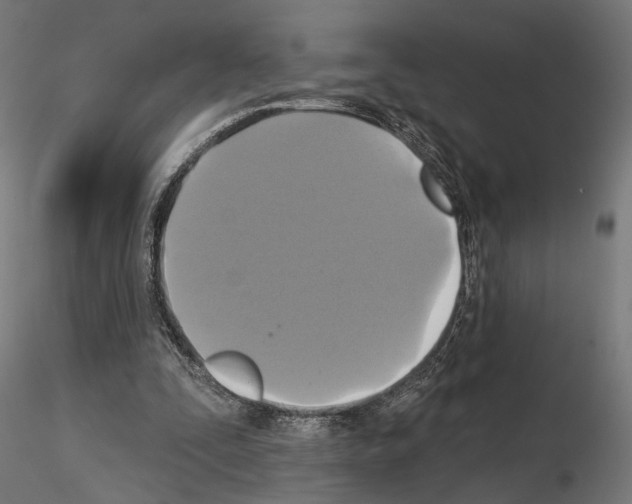 X0000115090295200912081241