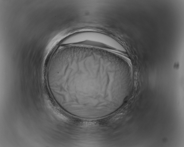 X0000115090296200912081241