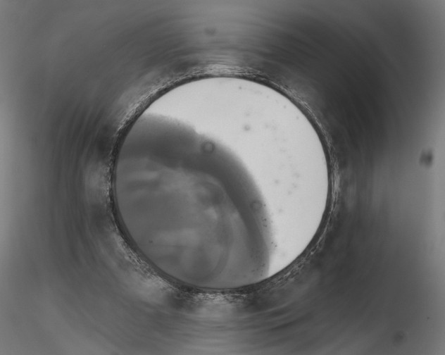 X0000115090297200912081241