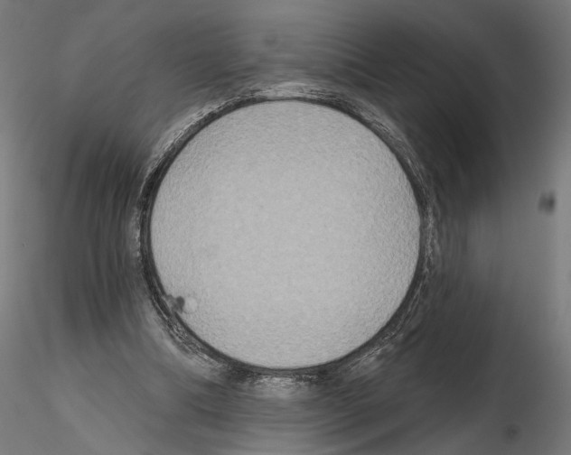 X0000115090298200912081241