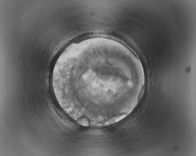 X0000115090299200912081241