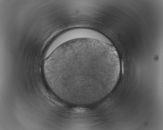 X0000115090300200912081241