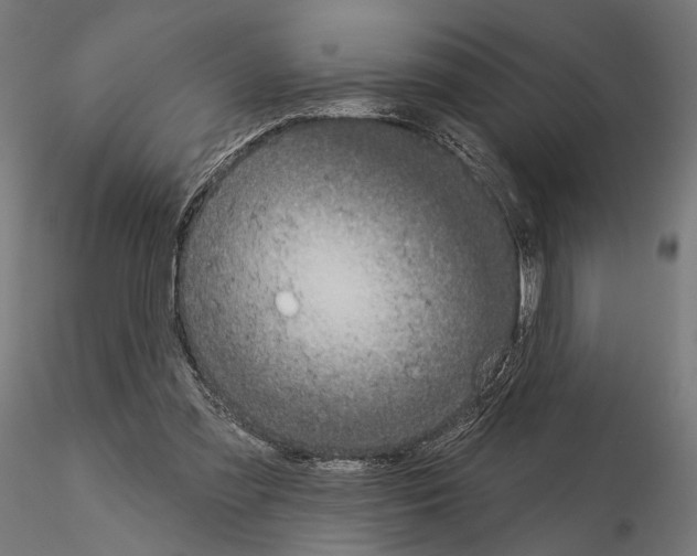 X0000115090301200912081241