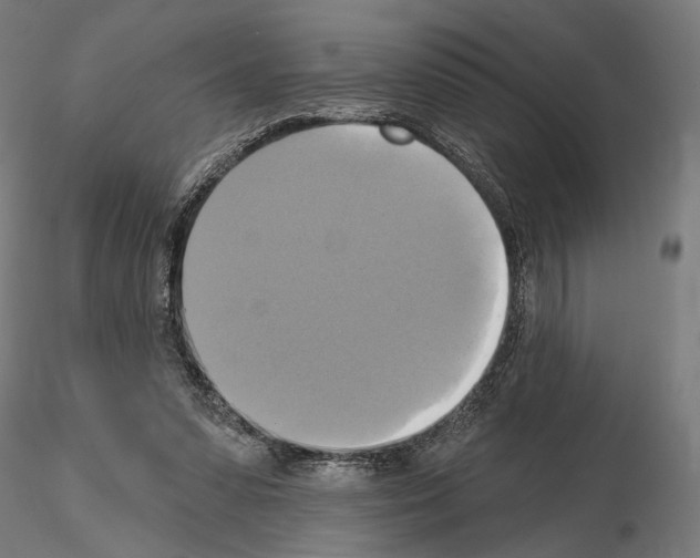 X0000115090303200912081241