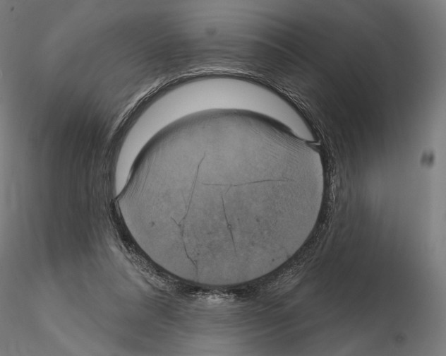 X0000115090304200912081241