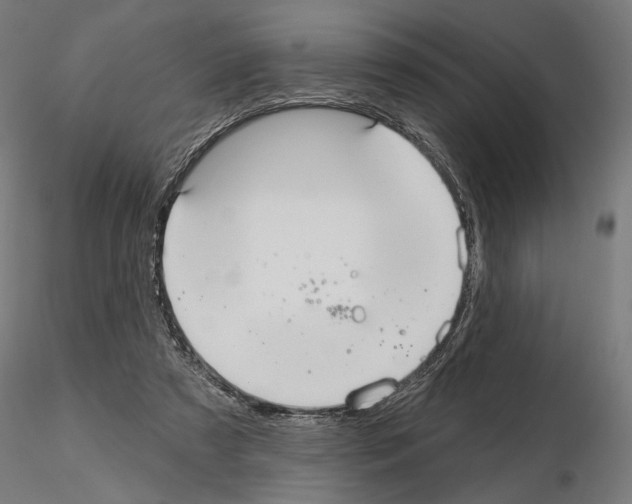 X0000115090305200912081241