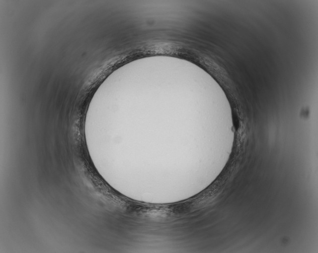 X0000115090306200912081241