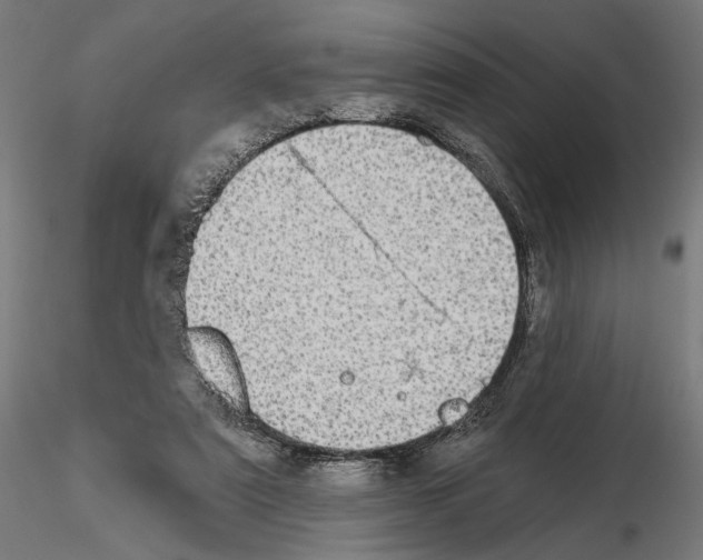 X0000115090307200912081241