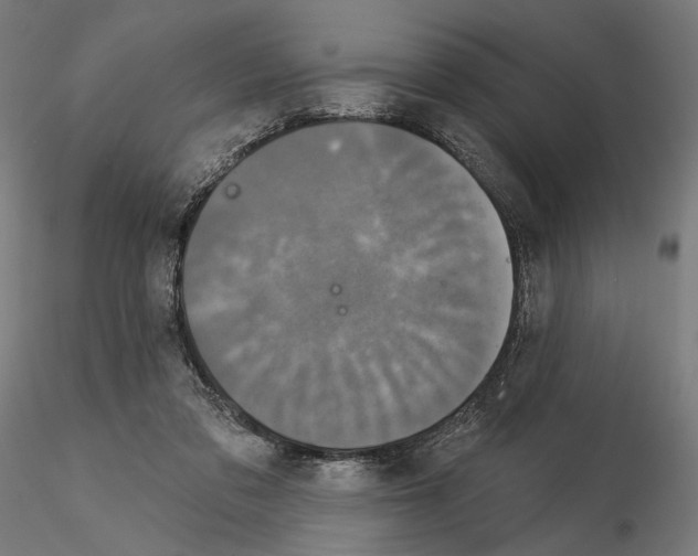 X0000115090309200912081241