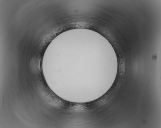 X0000115090310200912081241