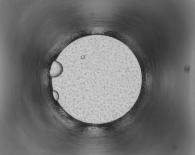 X0000115090311200912081241