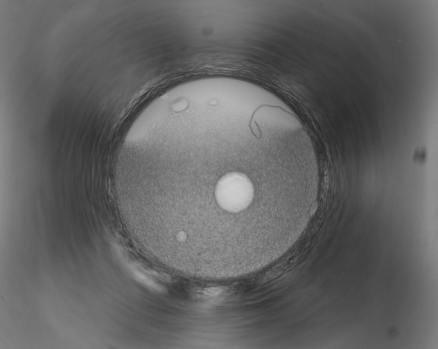 X0000115090312200912081241