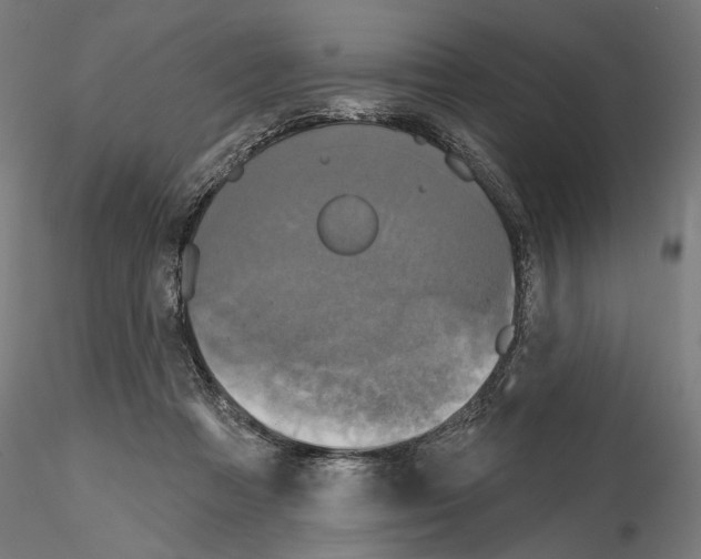 X0000115090313200912081241
