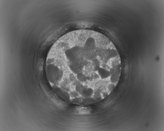 X0000115090315200912081241