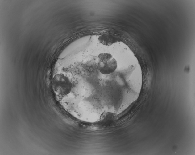 X0000115090319200912081241
