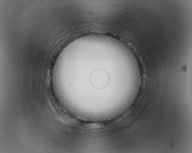 X0000115090320200912081241