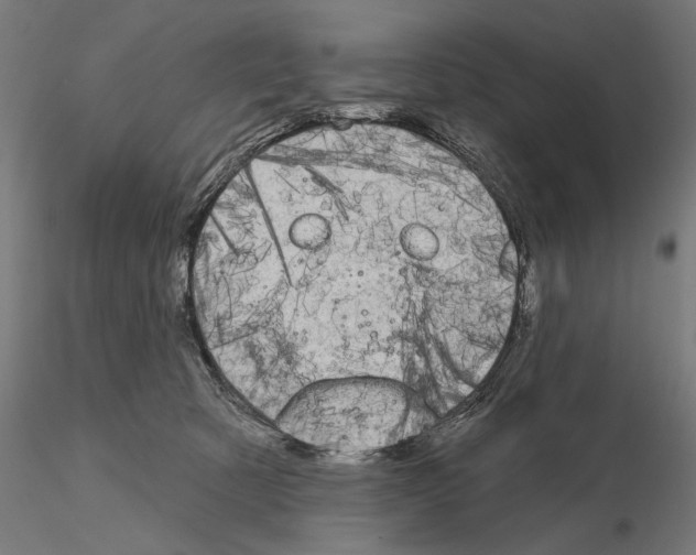 X0000115090321200912081241