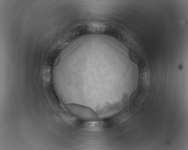 X0000115090323200912081241