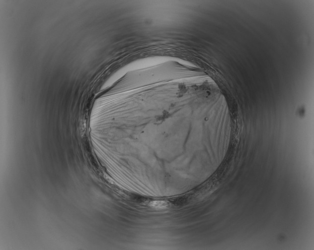 X0000115090324200912081241