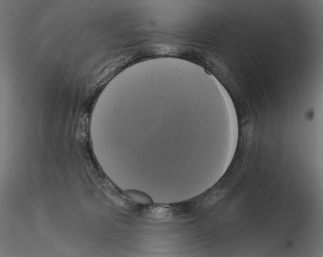 X0000115090325200912081241
