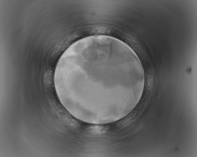 X0000115090326200912081241