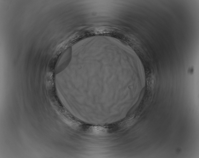 X0000115090327200912081241