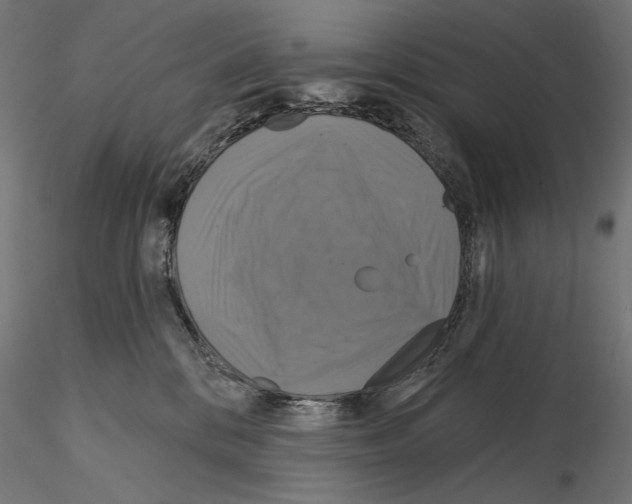 X0000115090328200912081241