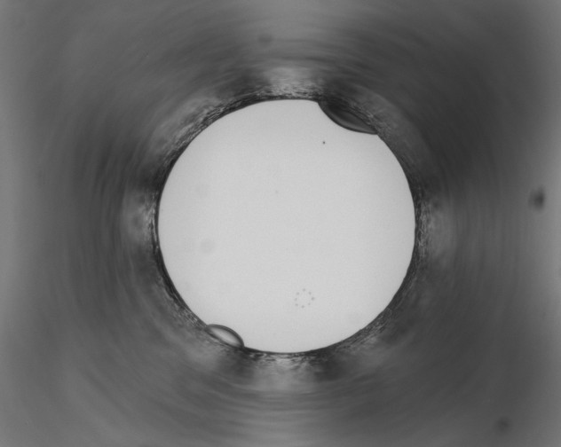 X0000115090329200912081241