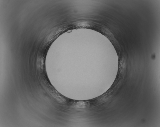 X0000115090330200912081241
