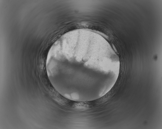 X0000115090331200912081241