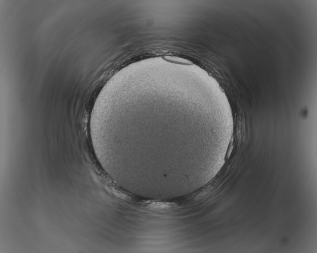 X0000115090332200912081241