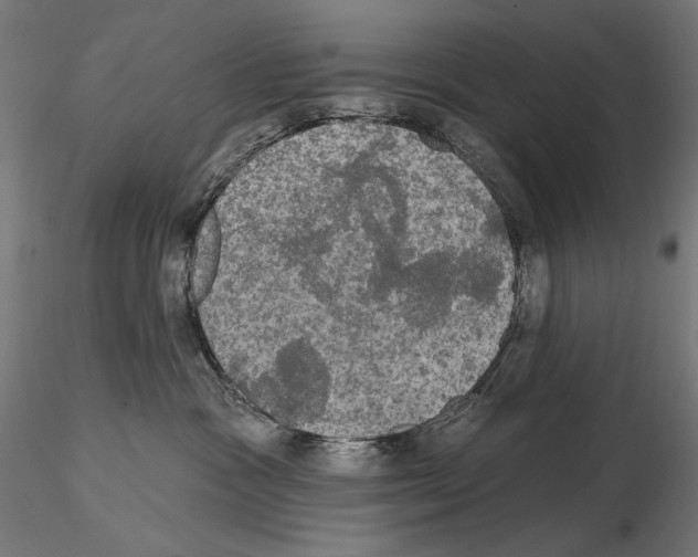 X0000115090333200912081241