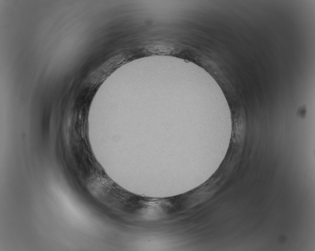 X0000115090334200912081241
