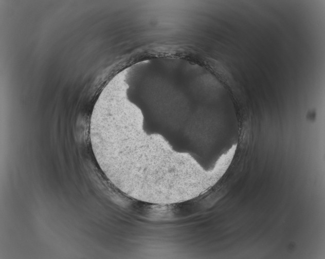 X0000115090335200912081241