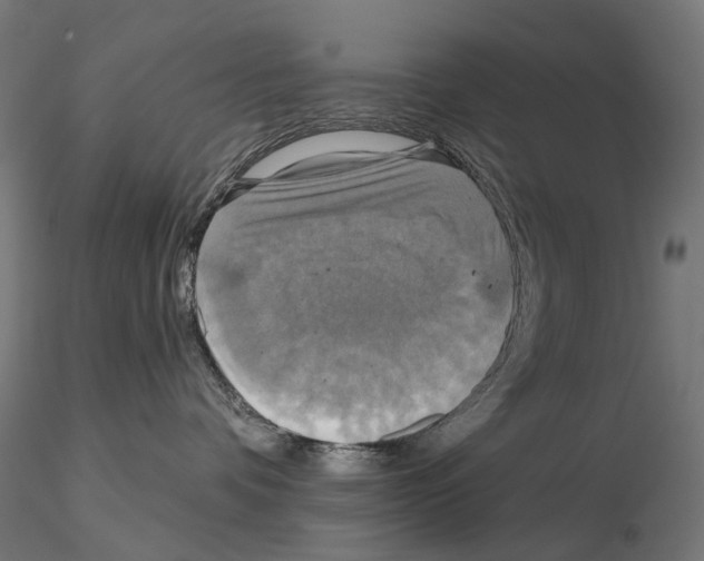 X0000115090336200912081240