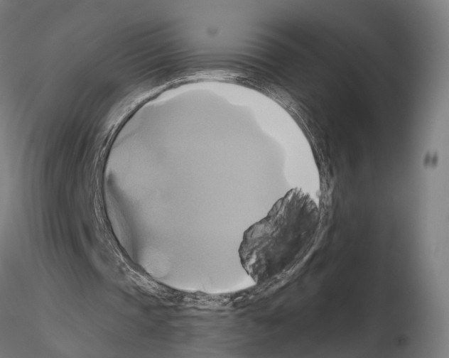 X0000115090337200912081240
