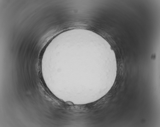 X0000115090338200912081240