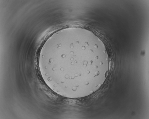 X0000115090339200912081240