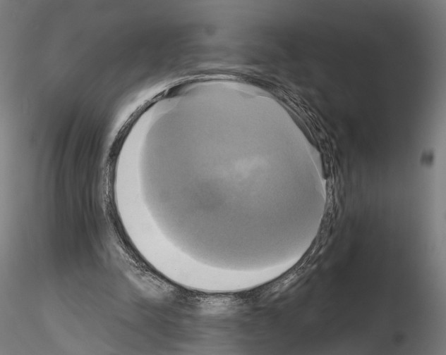 X0000115090342200912081240