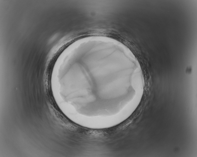 X0000115090343200912081240