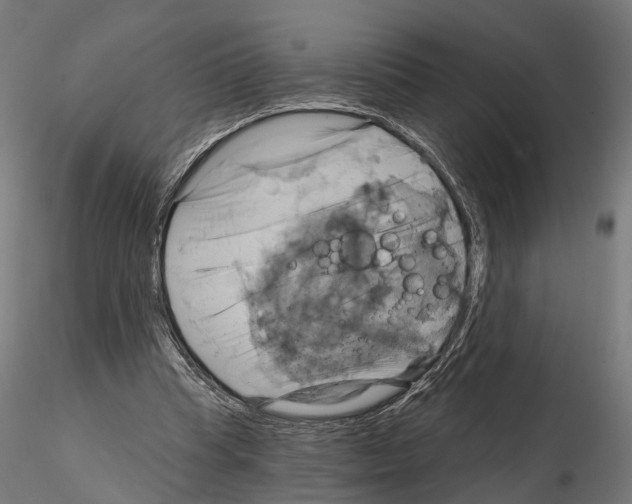 X0000115090345200912081240